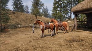 The Elder Scrolls IV: Oblivion Remastered - 32 серия - Разбираемся с Каминалдой