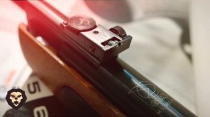 Пневматическая винтовка Gamo Maxima RX 4,5 мм (Видео-Обзор)