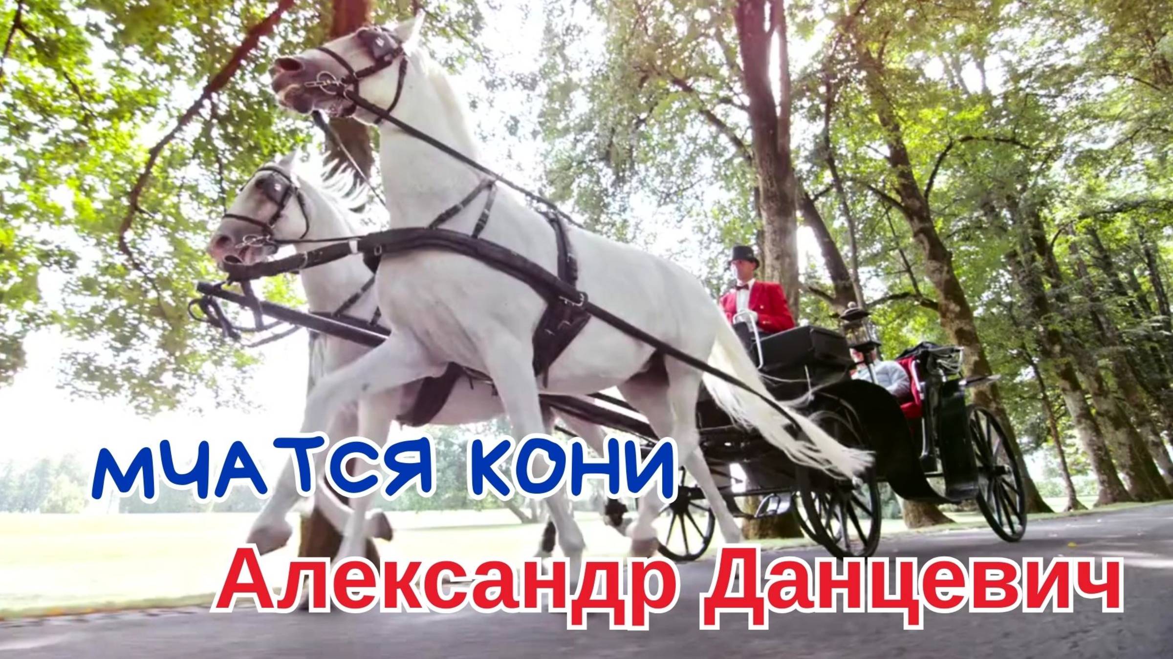 Мчатся кони 💥 от Марка Штейнберга ПОДАРОК на ЮБИЛЕЙ 💥 Alexander Dantsevych ☆☆☆ VIDEO CLIPS STUDI