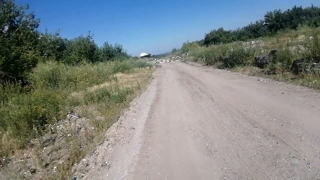 Роды Авроры. Как это было. Опыт заводчика. Почему мои п?