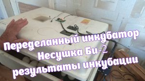 Переделанный инкубатор Несушка Би-2 результаты инкубации