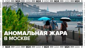 Синоптики рассказали, почему в Москве установилась аномальная жара - Москва 24