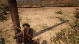 Западный гриф индейка (western vulture turkey) Red Dead Redemption 2