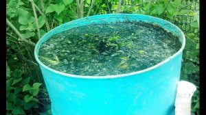 Как избавиться от сорняков и травы на участке навсегда З Секунды!