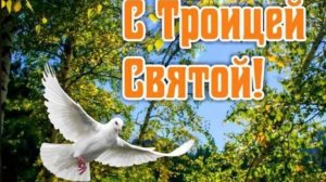 Красивое Поздравление Со Святой Троицей 🌿 #пятидесятница