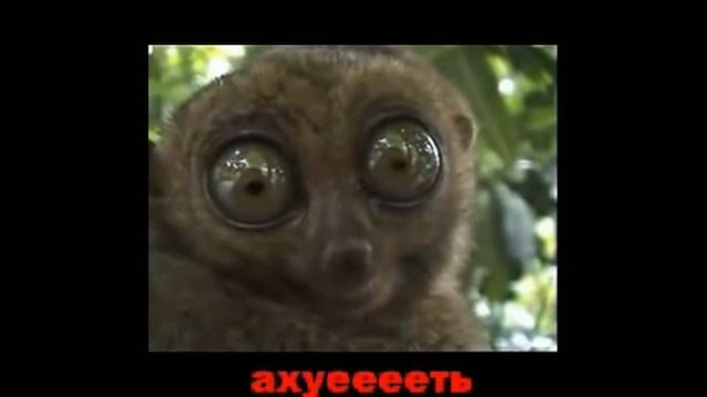 Зарплаты не будет !!!