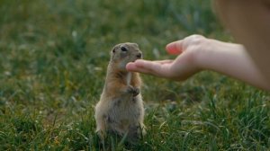 Остров отдыха 24.05.25