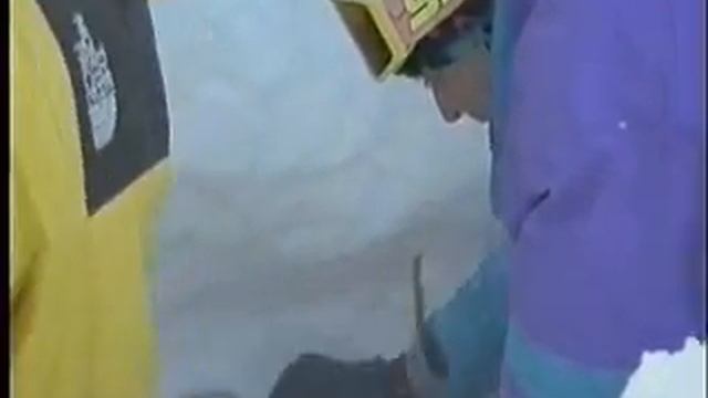 ОБЖ ЧС природного и техногенного характера