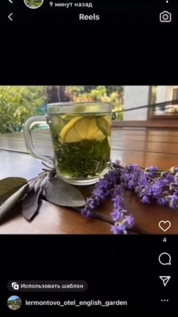 Отель"Английский сад" 🏡🌺🌹🍹🏖️🏞️🎡🌊