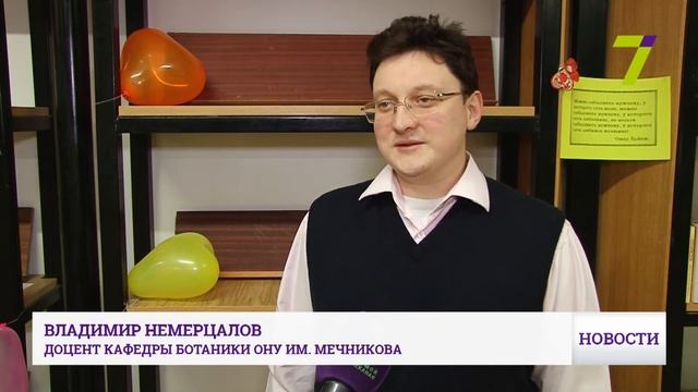Благотворительному фонду «Пчелка» 10 лет смотреть онлайн