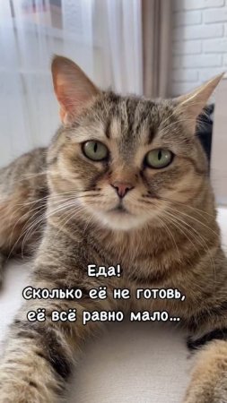 Женщин бесить три вещи :