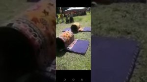 Весёлые старты для взрослых