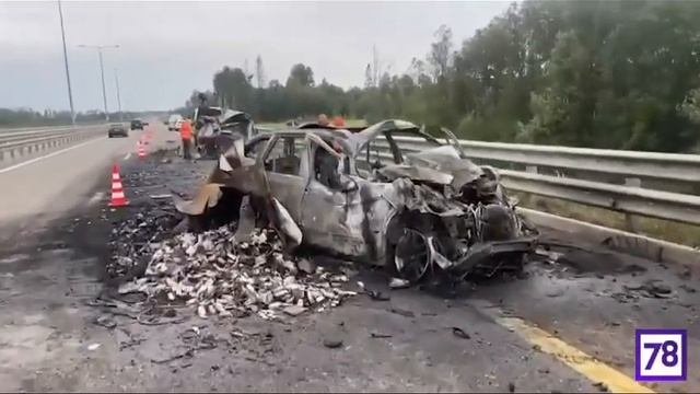 24 августа 2024 г.