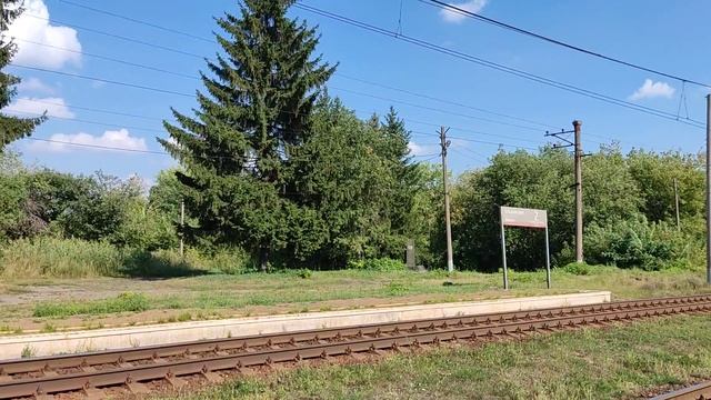 Станция Ельниково 2022г. Небольшой обзор.