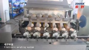 Автоматический вакуумный загрузчик для яиц ZENYER