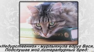 КОШКА и ПОЭТ