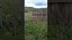 VID_20250520_144708.mp4