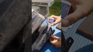 КАК ЗАКЛЕИТЬ БАК НА ПИТБАЙКЕ ИЛИ КВАДОЦИКЛЕ!!!