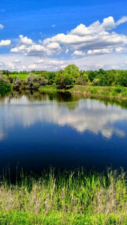 Будем ждать когда рыбка станет большой