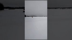 Снегоход Барыс sm-250