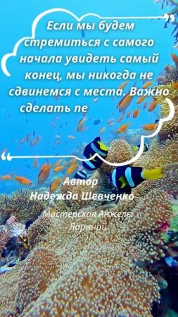 Сделать первый шаг