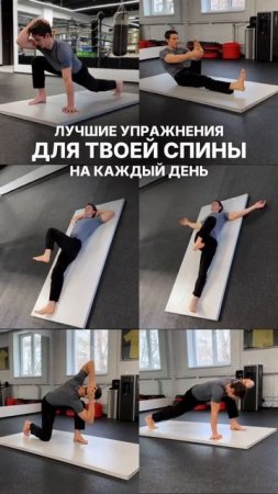 Для спины на каждый день