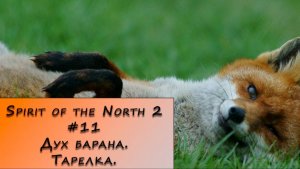 Spirit of the North 2. Прохождение. #11 – Дух барана. Тарелка.