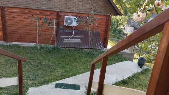 СОЧИ ГОРНОЕ ЛОО УТРО 24.05.2025