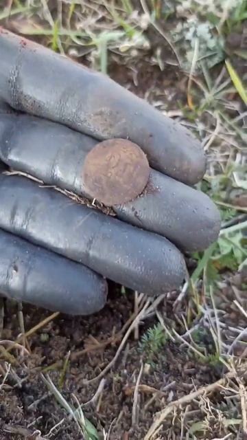 Тот самый момент😍. #recommended #metaldetecting #? смотреть онлайн