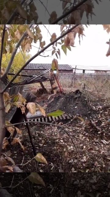 Раскрыли заброшенный погреб. смотреть онлайн