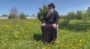 Пасхальное майское утро — встреча Батюшки с маргаритками. Серия 1