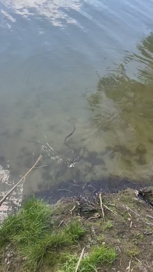 Два рыбака