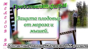 Защита плодовых от мороза и мышей.