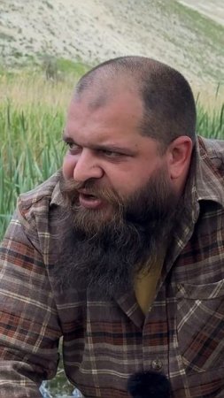 Когда сел хавать овсянку…