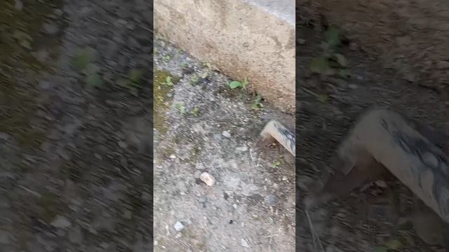 убираем территорию