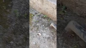 убираем территорию