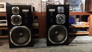 Yamaha ns-500Ma