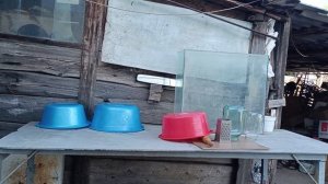 Динская. 24.05.25. Мариную молодую капусту.