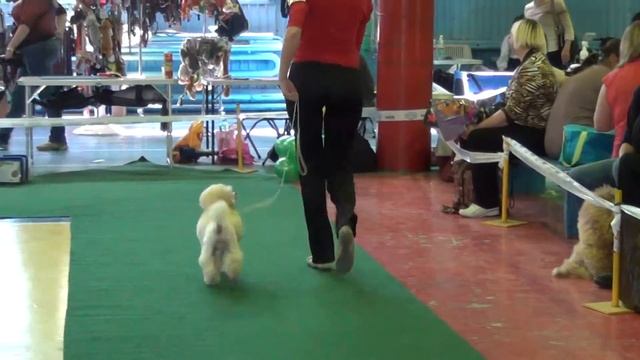 Иркутск моно 09.06.13 ЖАН БАТИСТ ВИНСЕНТ смотреть онлайн