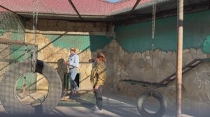 Ритка уронила тельце малыша, ведь он не держался за нее. Мать бросилась чтоб забрать, все затихло