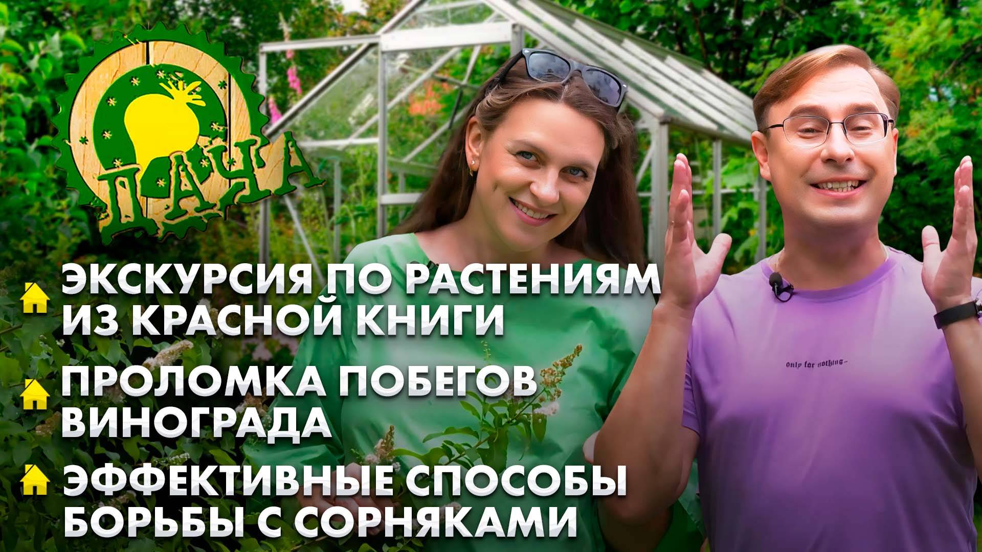 Растения из Красной книги | Проломка побегов винограда | Способы борьбы с сорняками. Дача