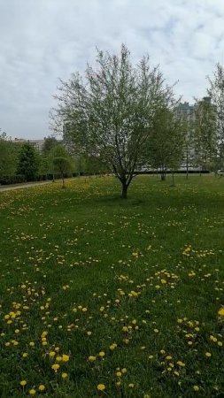 Просто гуляю в мае