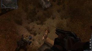 S.T.A.L.K.E.R.: Чистое небо — тёмная долина (ответить на сигнал SOS)