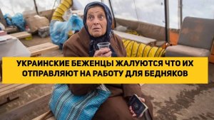 УКРАИНСКИЕ БЕЖЕНЦЫ ЖАЛУЮТСЯ ЧТО ИХ ОТПРАВЛЯЮТ НА РАБОТУ ДЛЯ БЕДНЯКОВ