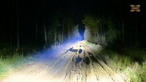 Світлодіодна LED балка Aurora ALO-S5D1-50-R4R5Q 250W 136см (дальнє сві