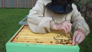 Ставим магазины с рамками под сотовый мед.