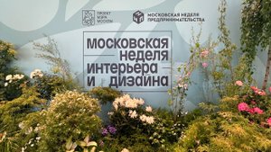 Новинки мебели и освещения 2025