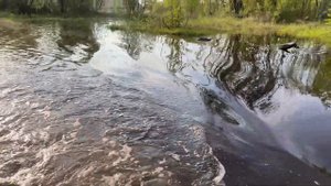 Тест драйв квадроцикла Sharmax Hummer 300. #эндуро #квадроцикл