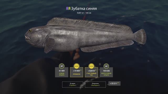 Русская рыбалка 4. Норвежское море. Синяя зубатка смотреть онлайн