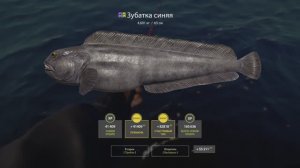 Русская рыбалка 4. Норвежское море. Синяя зубатка